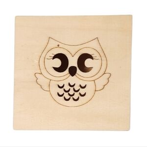 Greenbrier Sealed Wood Owl Craft box